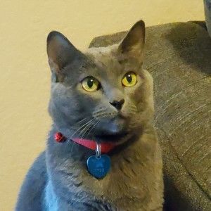 Meet your Posher, Posh